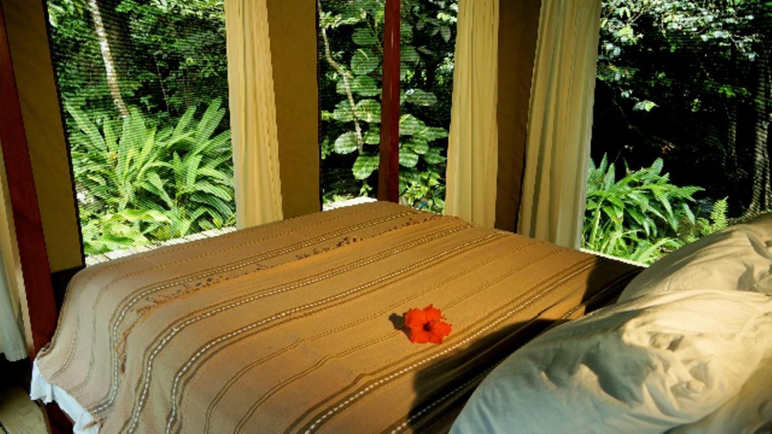 Citrus Creek Plantation Villa La Plaine Eksteriør billede