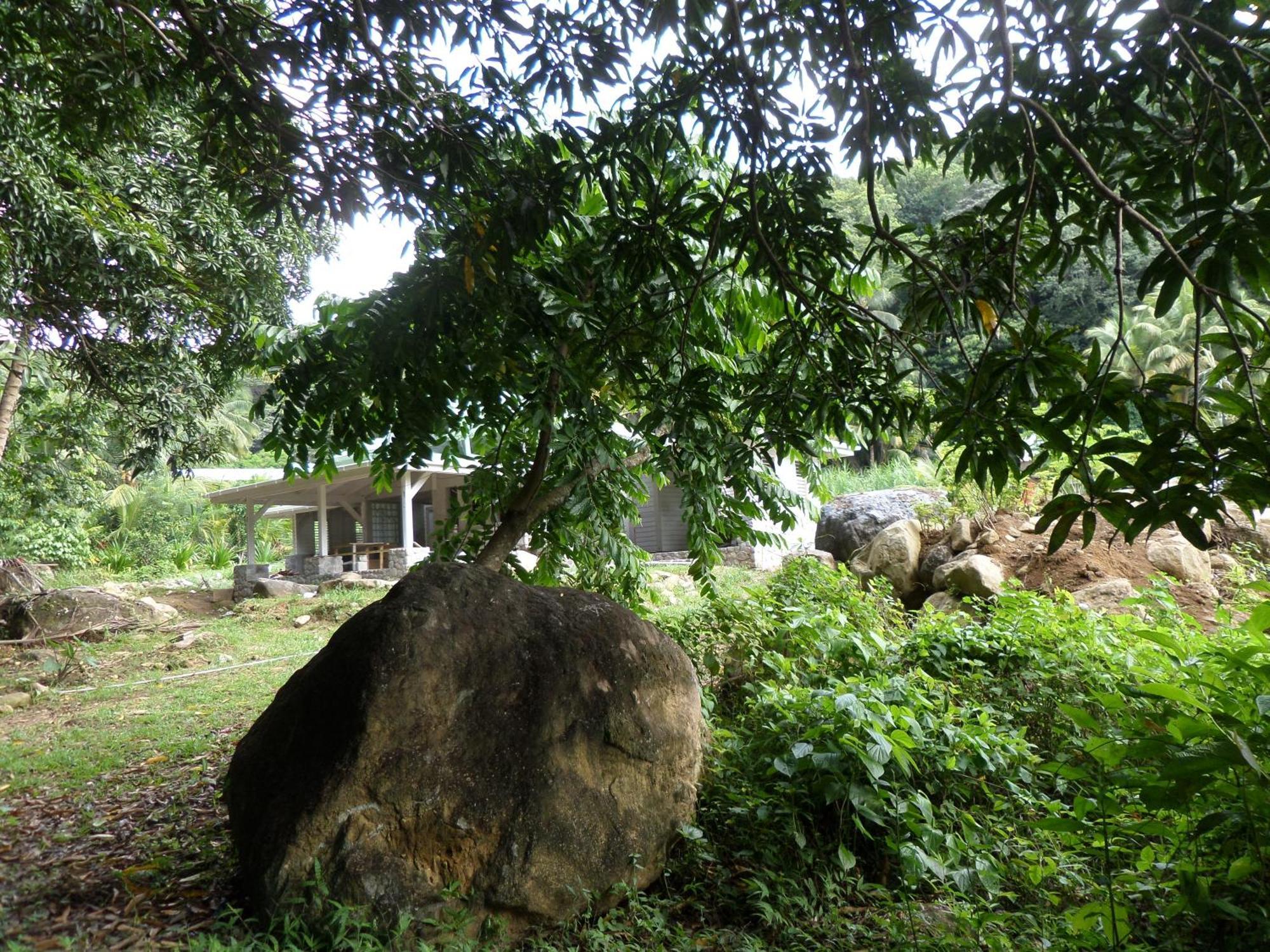 Citrus Creek Plantation Villa La Plaine Værelse billede
