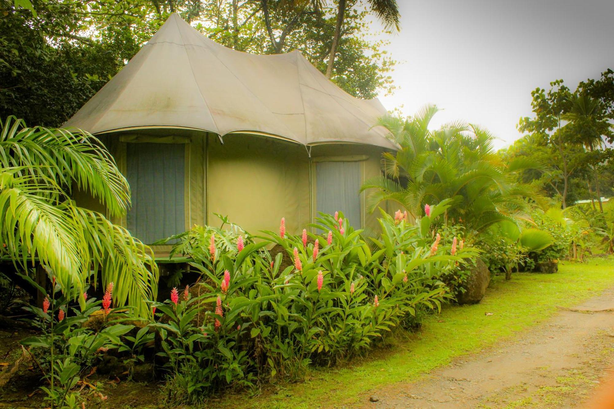 Citrus Creek Plantation Villa La Plaine Værelse billede