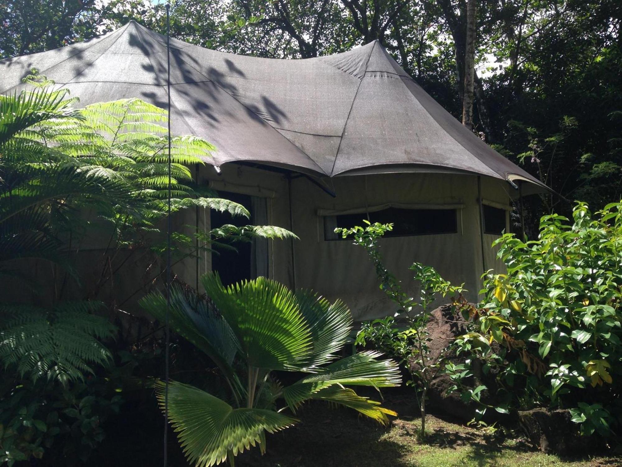 Citrus Creek Plantation Villa La Plaine Værelse billede