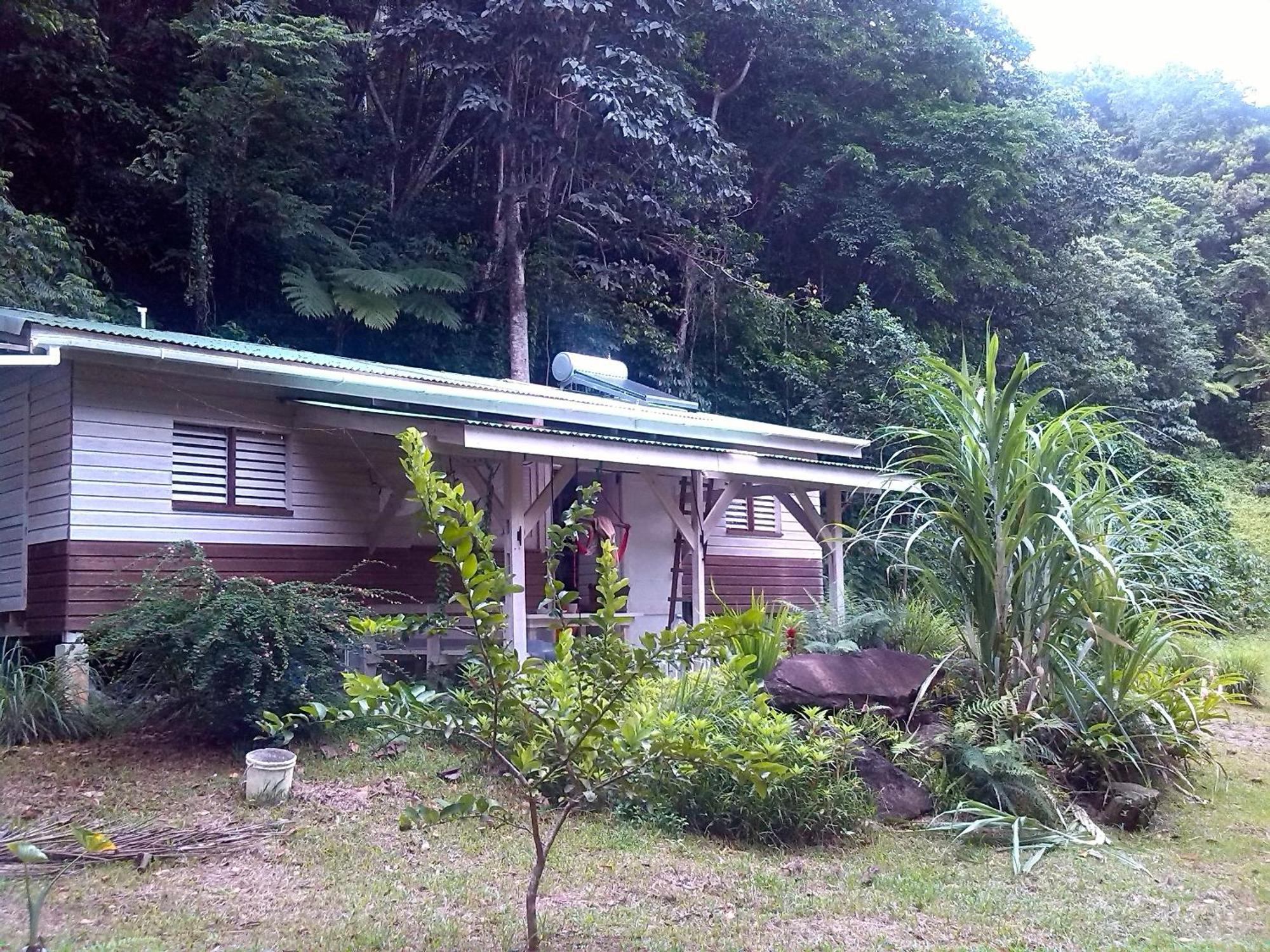 Citrus Creek Plantation Villa La Plaine Værelse billede