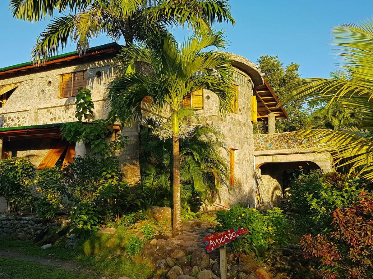 Citrus Creek Plantation Villa La Plaine Eksteriør billede